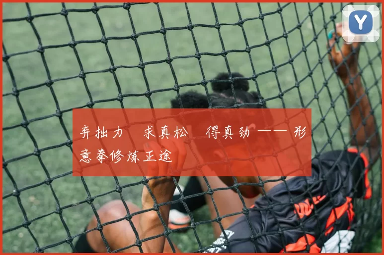 弃拙力・求真松・得真劲 —— 形意拳修炼正途