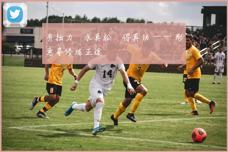 弃拙力・求真松・得真劲 —— 形意拳修炼正途