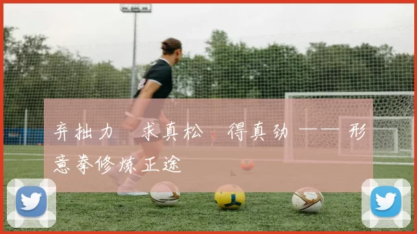 弃拙力・求真松・得真劲 —— 形意拳修炼正途