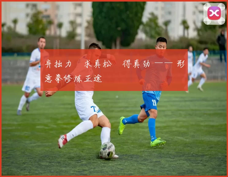 弃拙力・求真松・得真劲 —— 形意拳修炼正途