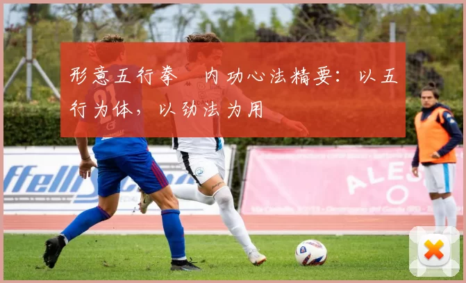 形意五行拳・内功心法精要:以五行为体,以劲法为用