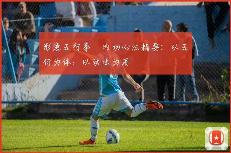 形意五行拳・内功心法精要：以五行为体，以劲法为用