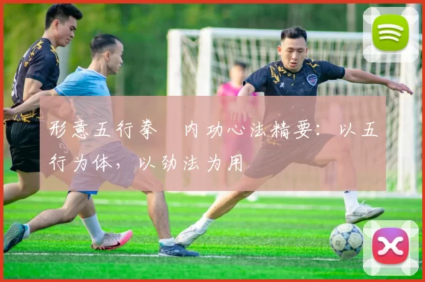 形意五行拳・内功心法精要:以五行为体,以劲法为用