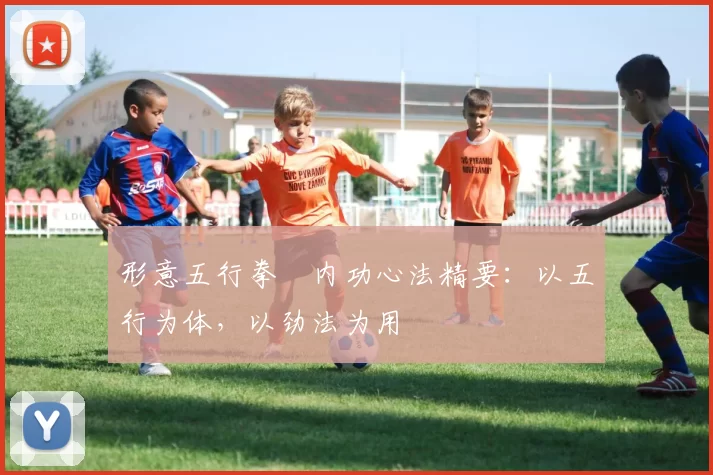 形意五行拳・内功心法精要：以五行为体，以劲法为用