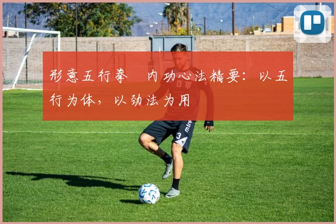 形意五行拳・内功心法精要:以五行为体,以劲法为用