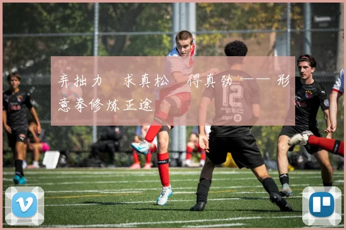 弃拙力・求真松・得真劲 —— 形意拳修炼正途