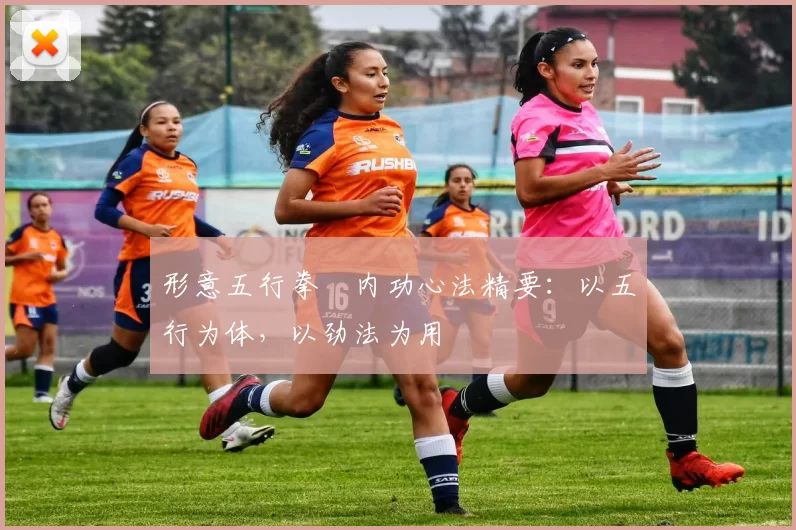 形意五行拳・内功心法精要：以五行为体，以劲法为用