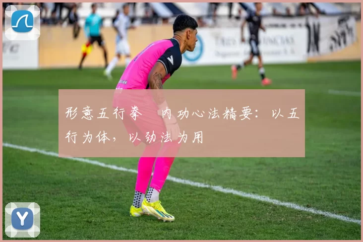 形意五行拳・内功心法精要:以五行为体,以劲法为用