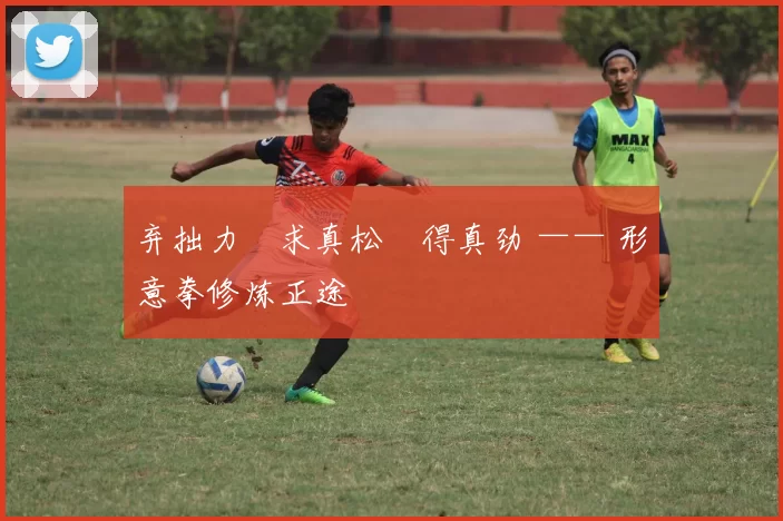 弃拙力・求真松・得真劲 —— 形意拳修炼正途