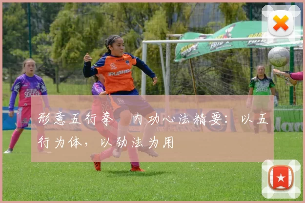 形意五行拳・内功心法精要：以五行为体，以劲法为用