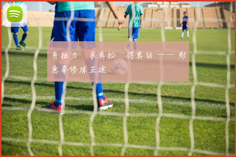 弃拙力・求真松・得真劲 —— 形意拳修炼正途