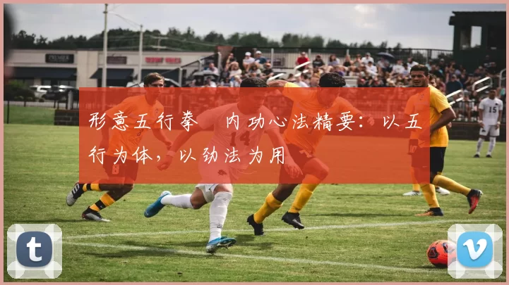 形意五行拳・内功心法精要：以五行为体，以劲法为用