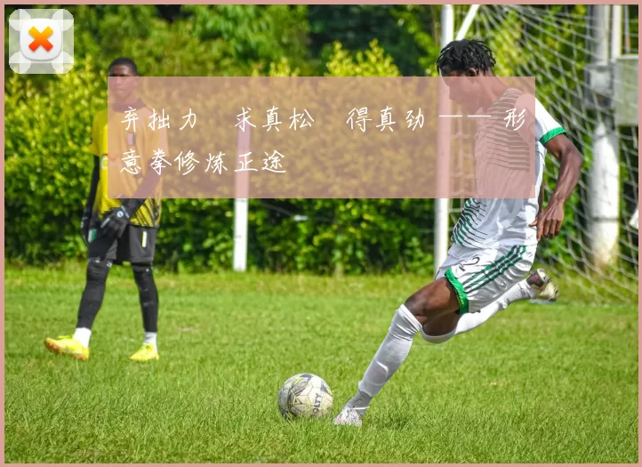 弃拙力・求真松・得真劲 —— 形意拳修炼正途