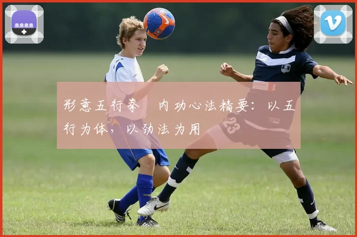 形意五行拳・内功心法精要：以五行为体，以劲法为用