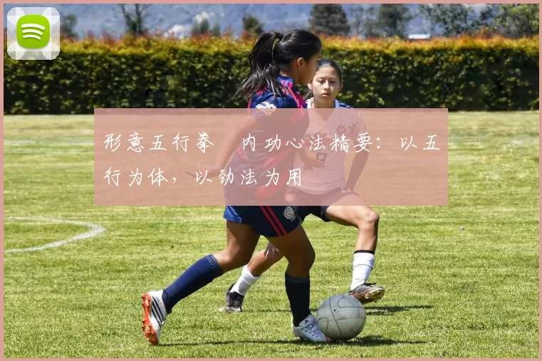 形意五行拳・内功心法精要：以五行为体，以劲法为用