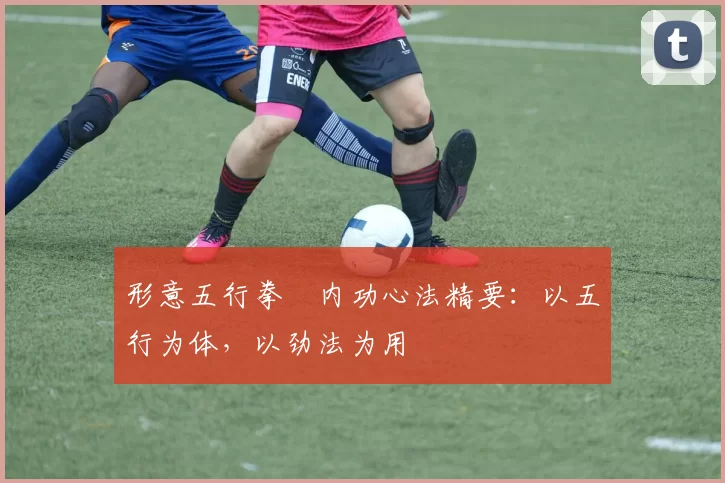 形意五行拳・内功心法精要：以五行为体，以劲法为用