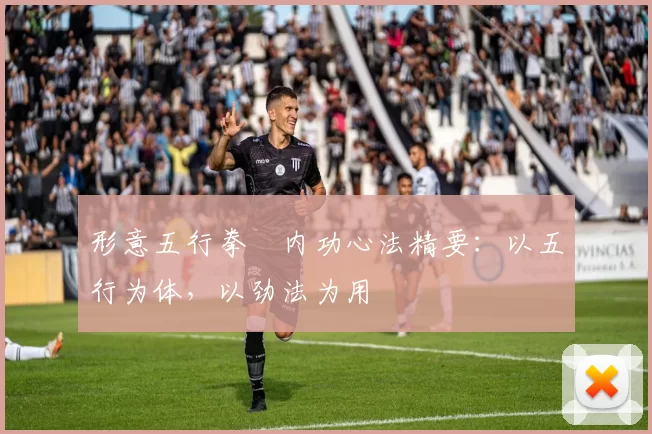 形意五行拳・内功心法精要：以五行为体，以劲法为用