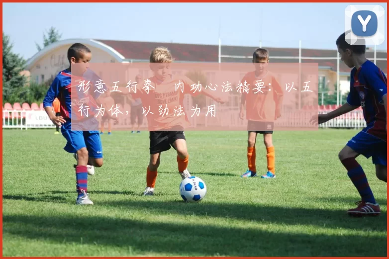 形意五行拳・内功心法精要：以五行为体，以劲法为用