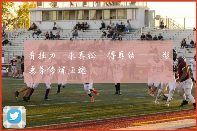 弃拙力・求真松・得真劲 —— 形意拳修炼正途