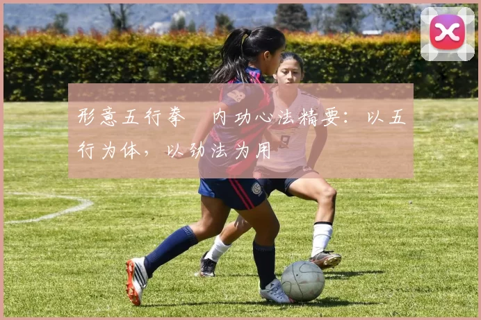 形意五行拳・内功心法精要：以五行为体，以劲法为用