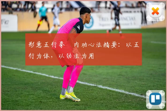 形意五行拳・内功心法精要:以五行为体,以劲法为用