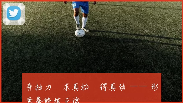 弃拙力・求真松・得真劲 —— 形意拳修炼正途