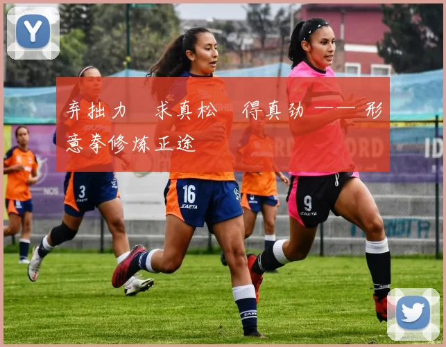 弃拙力・求真松・得真劲 —— 形意拳修炼正途