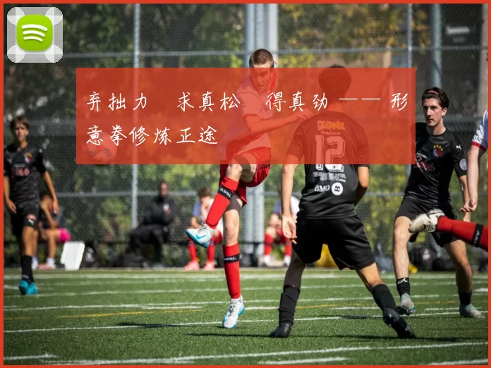 弃拙力・求真松・得真劲 —— 形意拳修炼正途