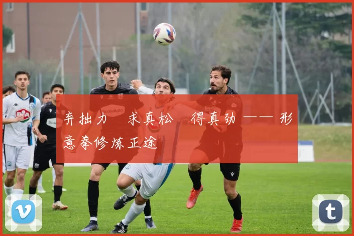 弃拙力・求真松・得真劲 —— 形意拳修炼正途