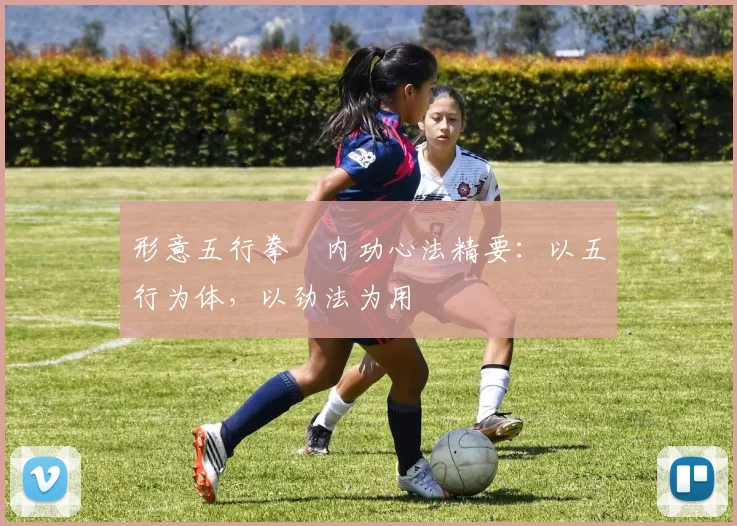 形意五行拳・内功心法精要：以五行为体，以劲法为用