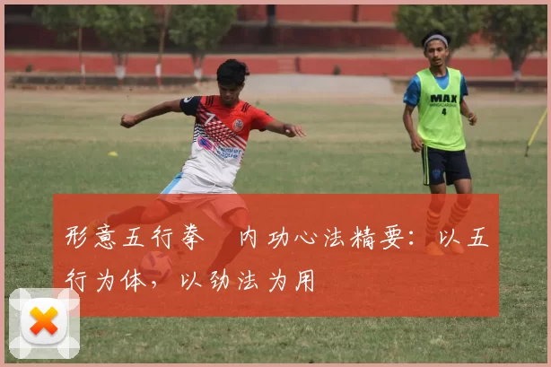 形意五行拳・内功心法精要：以五行为体，以劲法为用