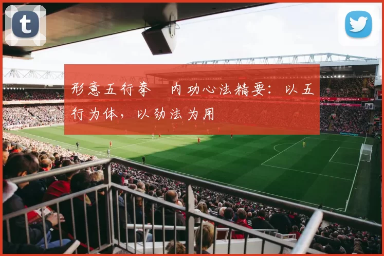 形意五行拳・内功心法精要：以五行为体，以劲法为用