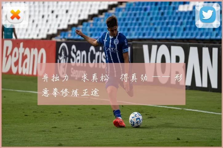 弃拙力・求真松・得真劲 —— 形意拳修炼正途