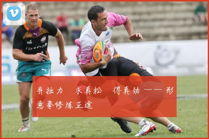 弃拙力・求真松・得真劲 —— 形意拳修炼正途