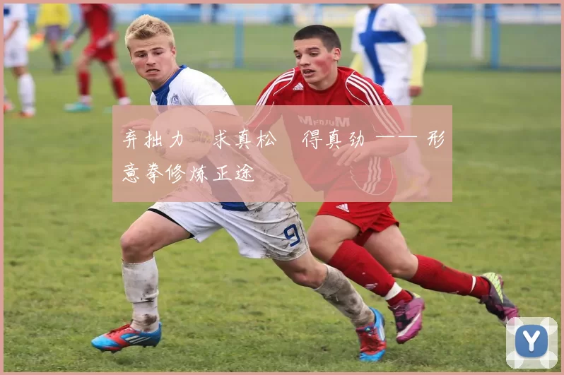 弃拙力・求真松・得真劲 —— 形意拳修炼正途