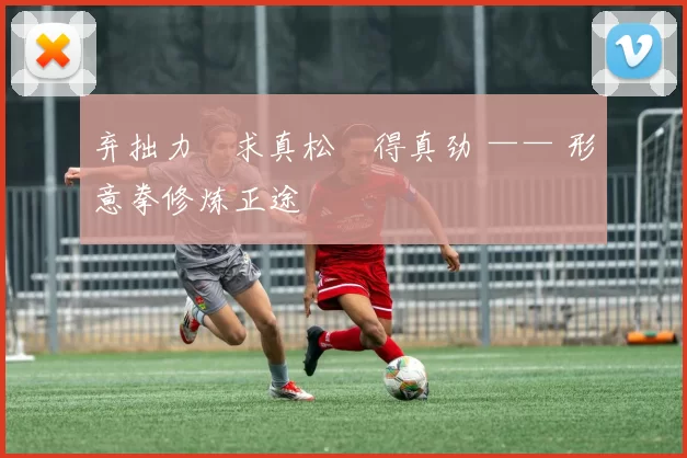 弃拙力・求真松・得真劲 —— 形意拳修炼正途