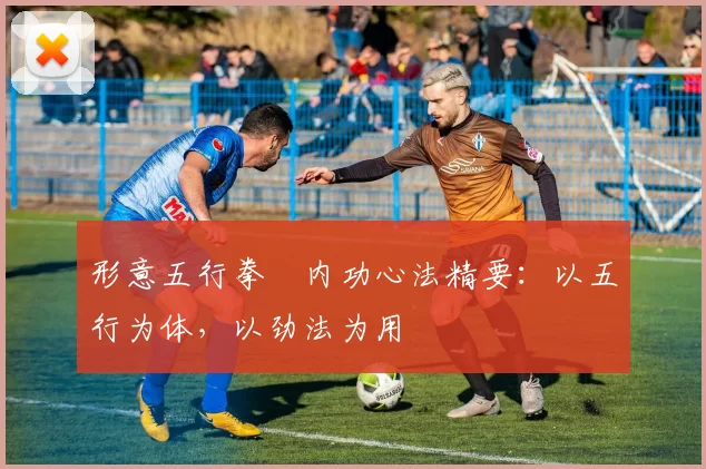 形意五行拳・内功心法精要：以五行为体，以劲法为用