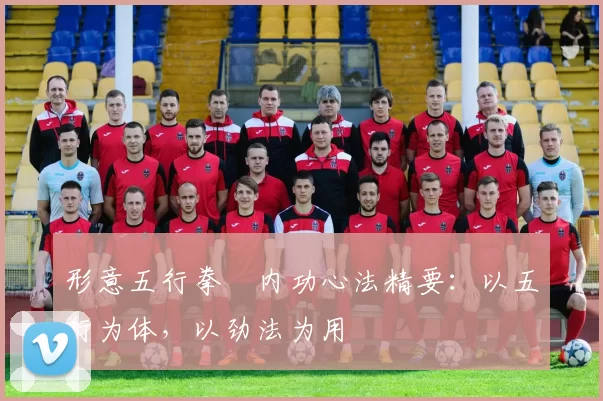 形意五行拳・内功心法精要:以五行为体,以劲法为用