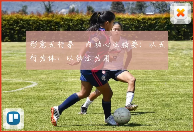 形意五行拳・内功心法精要：以五行为体，以劲法为用