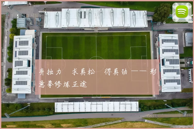 弃拙力・求真松・得真劲 —— 形意拳修炼正途