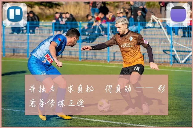 弃拙力・求真松・得真劲 —— 形意拳修炼正途