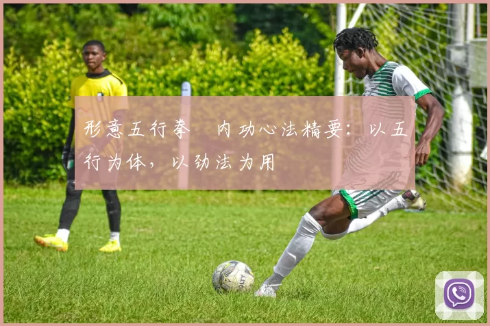 形意五行拳・内功心法精要:以五行为体,以劲法为用