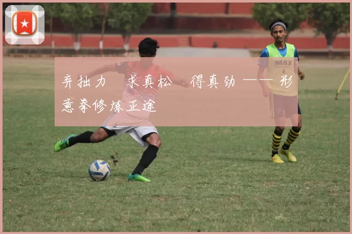 弃拙力・求真松・得真劲 —— 形意拳修炼正途