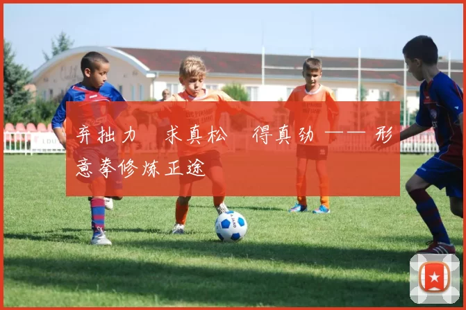 弃拙力・求真松・得真劲 —— 形意拳修炼正途