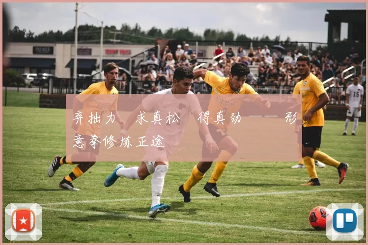 弃拙力・求真松・得真劲 —— 形意拳修炼正途