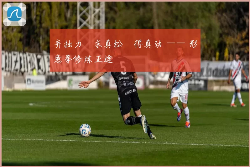 弃拙力・求真松・得真劲 —— 形意拳修炼正途