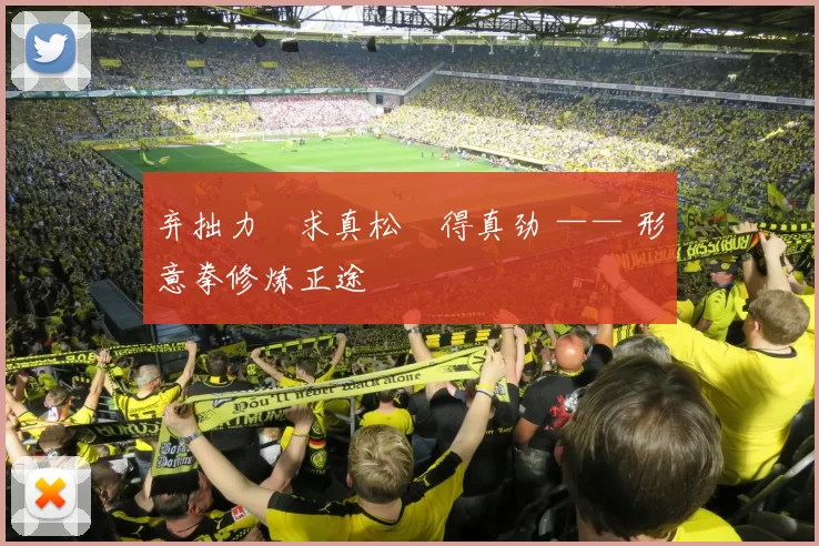 弃拙力・求真松・得真劲 —— 形意拳修炼正途