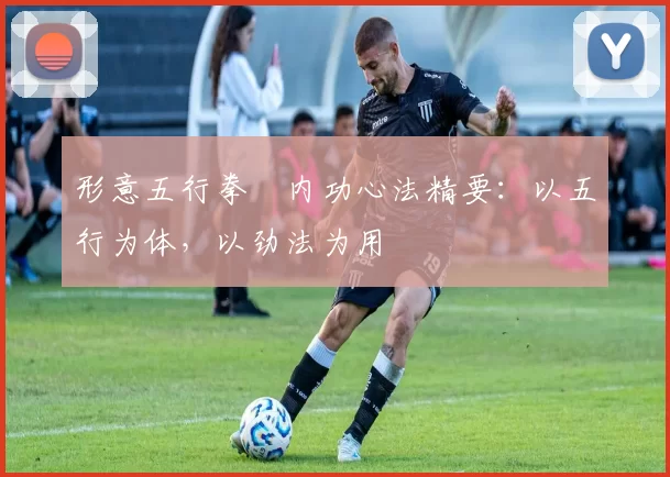 形意五行拳・内功心法精要：以五行为体，以劲法为用