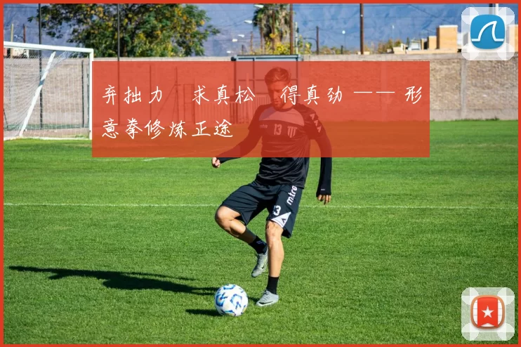 弃拙力・求真松・得真劲 —— 形意拳修炼正途