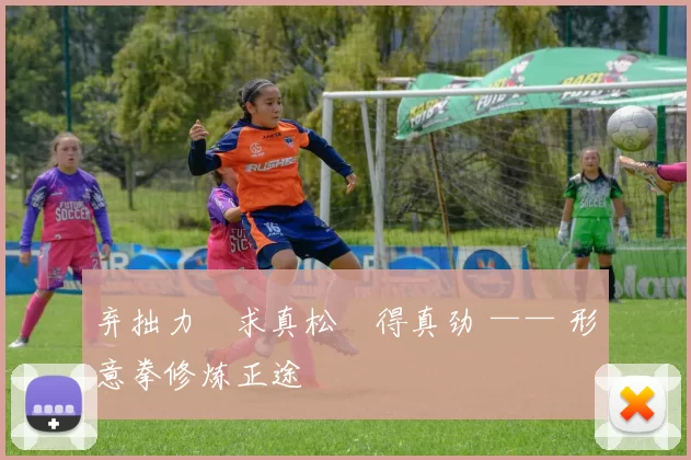 弃拙力・求真松・得真劲 —— 形意拳修炼正途